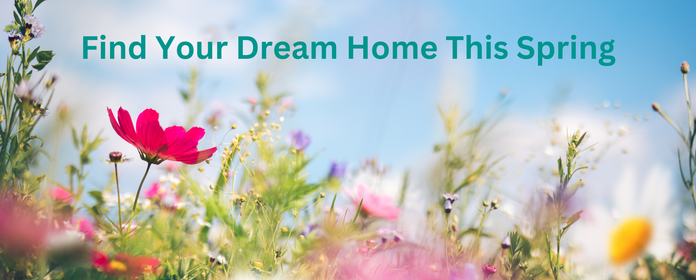 Find Your Dream Home with Rockett Home Rentals